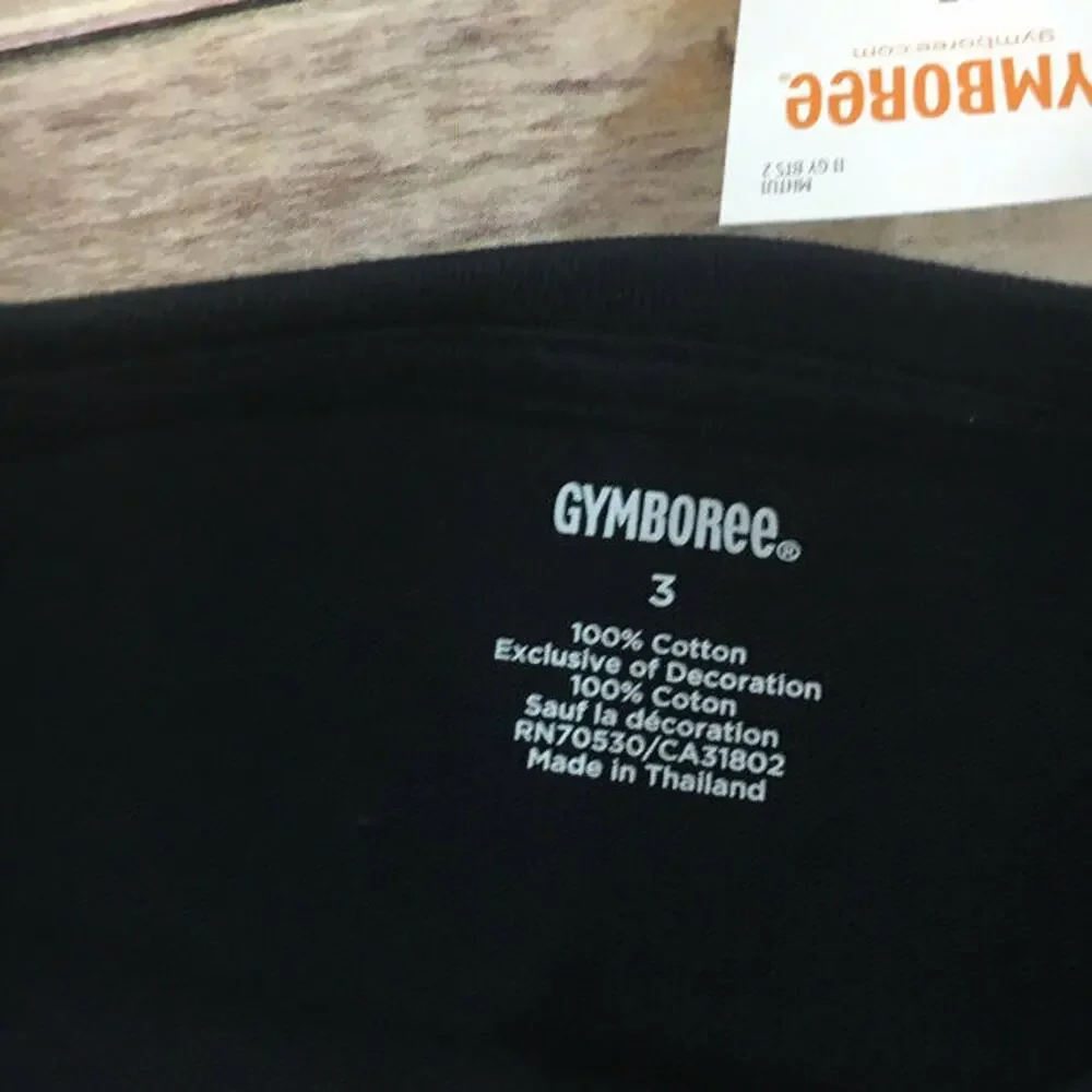 Gymboree Boys Tee Size 3T Aviator School Cool‎ Your Jets Shirt NEW